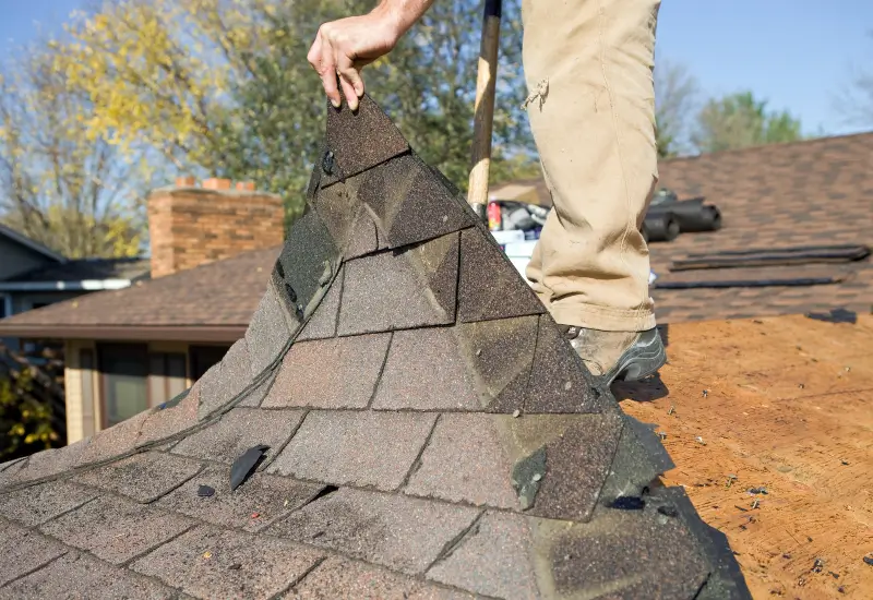 A home with a shingle roof getting a roof replacement in Florida